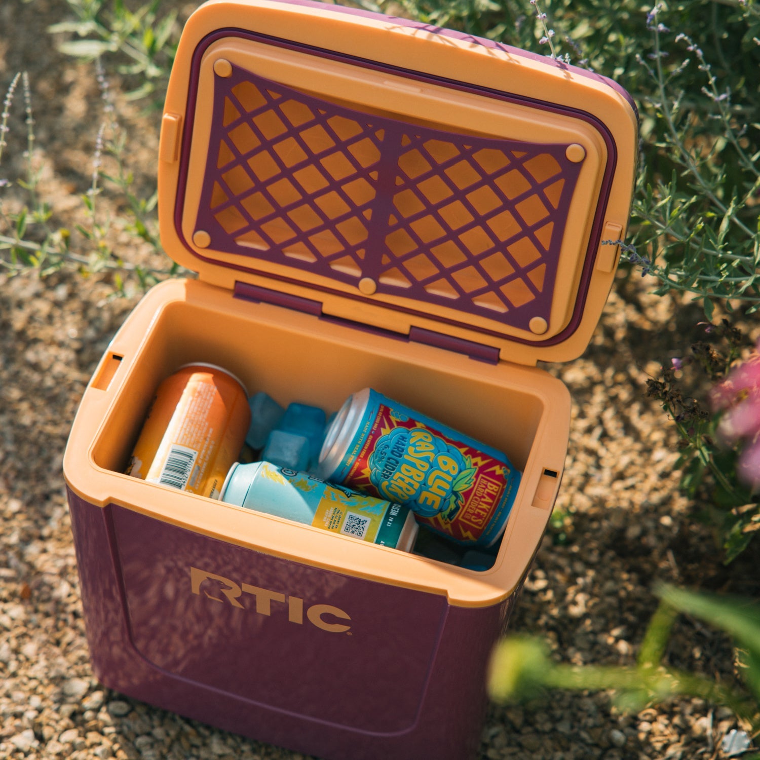 8 QT Road Trip Personal Cooler #003KF