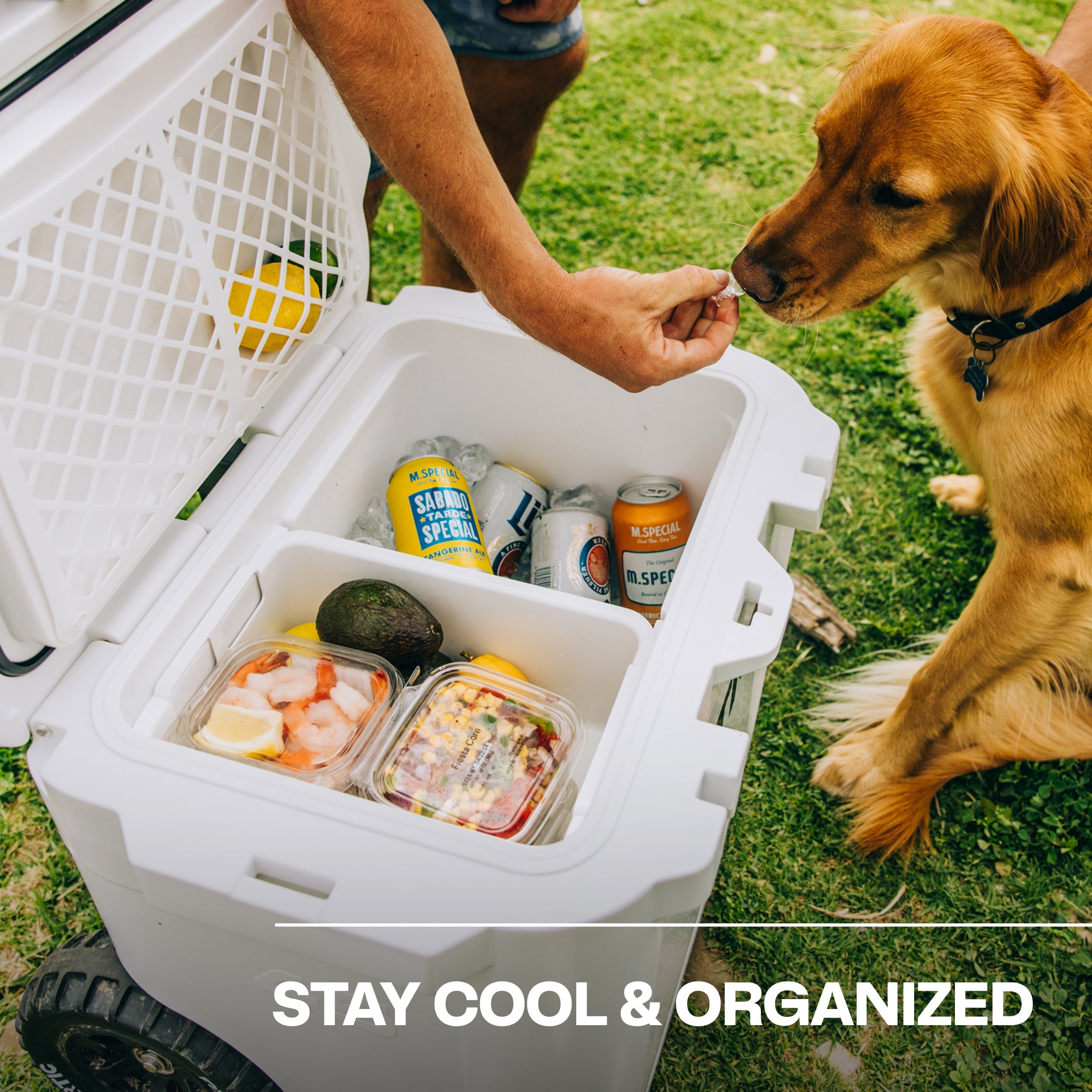 45 QT Ultra-Tough Wheeled Cooler #007SD